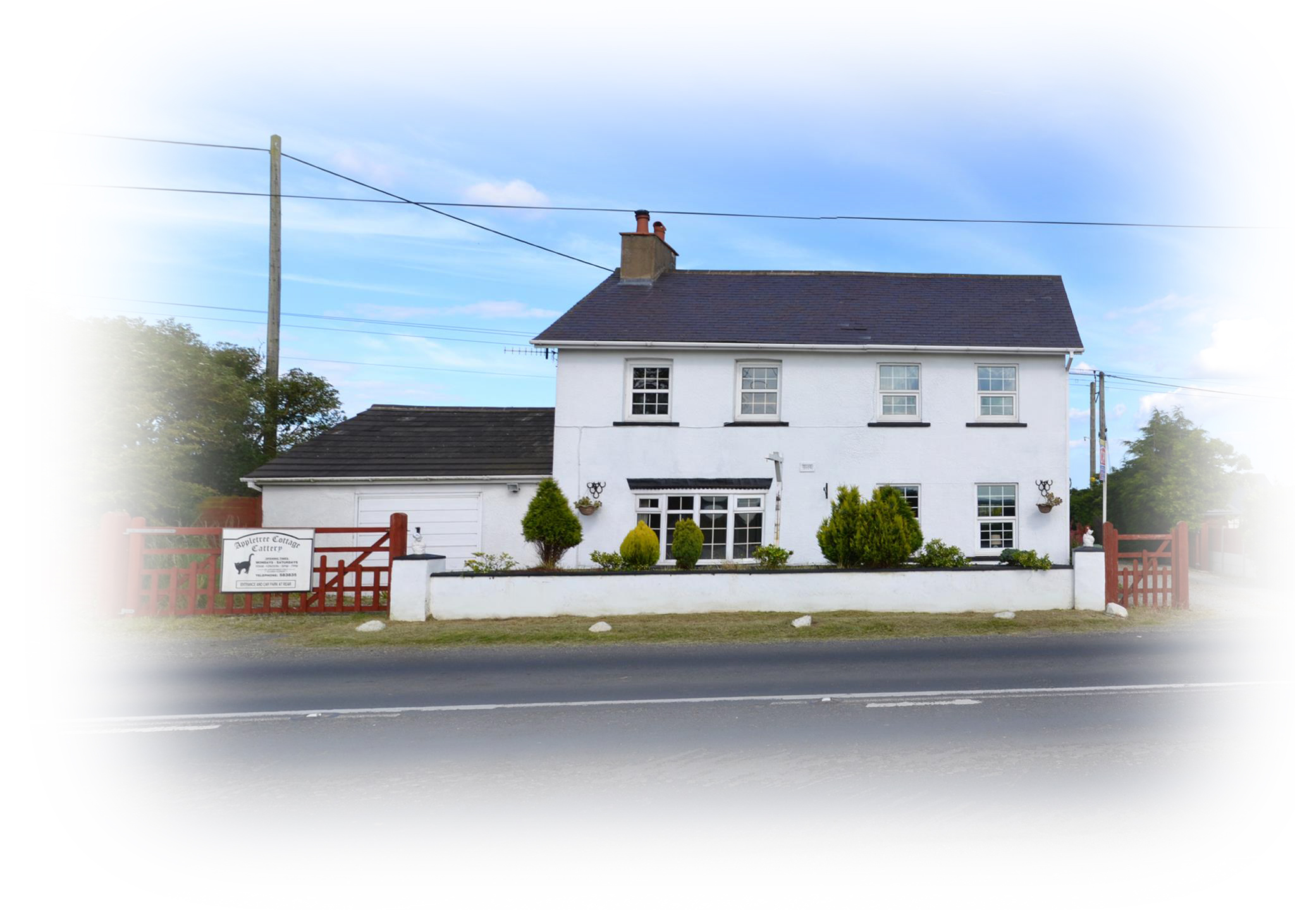 Home Appletree Cottage Cattery